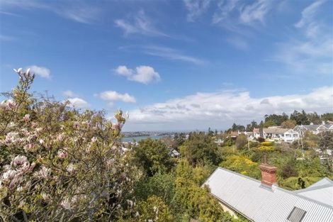 Photo of property in 22 Selkirk Street, Roslyn, Dunedin, 9010