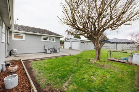 Photo of property in 3 Elizabeth Street, Feilding, 4702