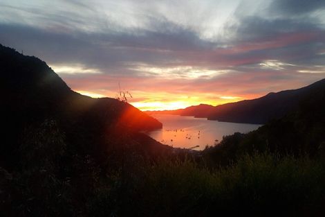 Photo of property in 59 Tirimoana Terrace, Anakiwa, Picton, 7281