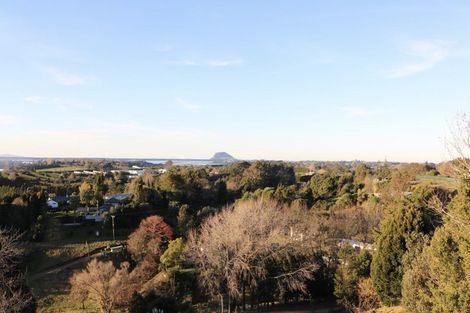 Photo of property in 11 Corbett Drive, Minden, Tauranga, 3176