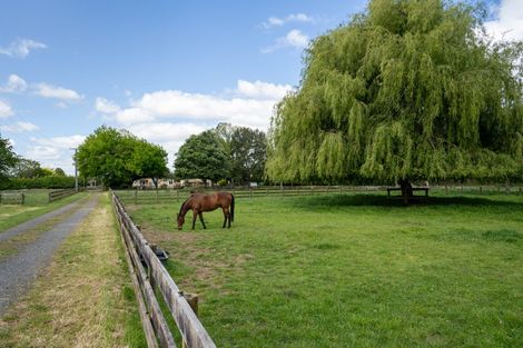 Photo of property in 67 Peake Road, Cambridge, 3493