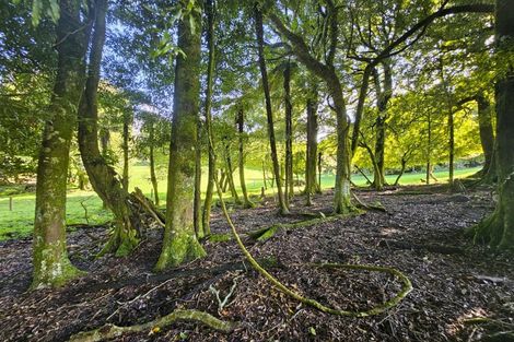 Photo of property in 118 South Road, Mamaku, Rotorua, 3072