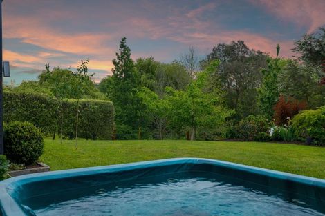 Photo of property in 133 Hogg Road, Rotoma, Whakatane, 3192