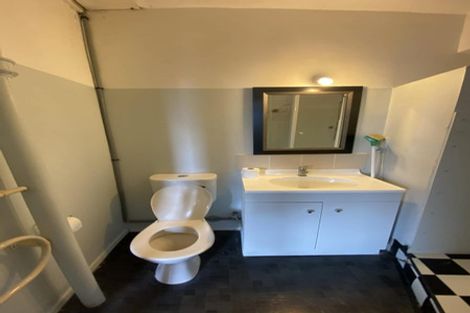 Photo of property in 59 Hankey Street, Mount Cook, Wellington, 6011