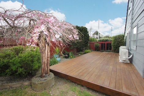 Photo of property in 191 Salisbury Street, Ashhurst, 4810