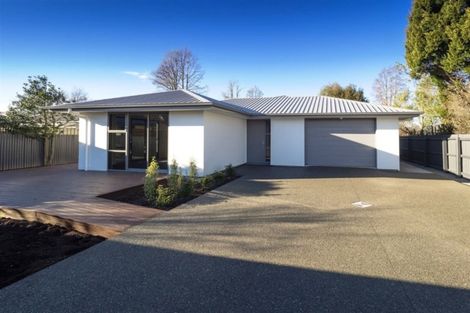 Photo of property in 36a Cross Street, Raglan, 3225