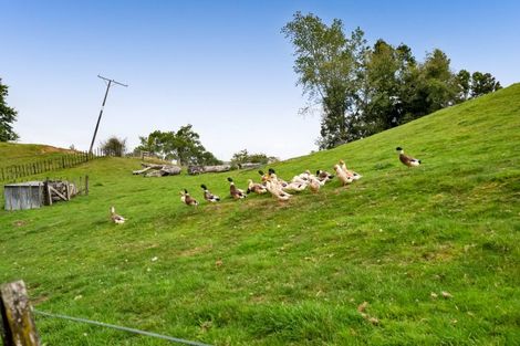 Photo of property in 927 Mohakau Road, Kiore, Stratford, 4395