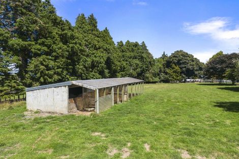 Photo of property in 2330 Kimbolton Road, Kiwitea, Feilding, 4777