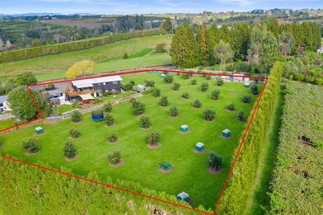 Photo of property in 728 No 1 Road, Te Puke, 3182