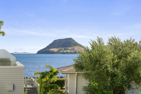 Photo of property in 55 Kulim Avenue, Otumoetai, Tauranga, 3110