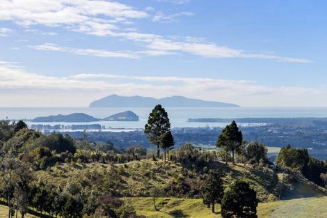 Photo of property in 413d Busby Road, Tahawai, Katikati, 3170