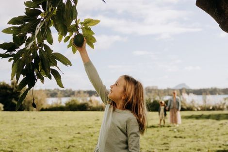 Photo of property in 206 Ranginui Road, Welcome Bay, Tauranga, 3175