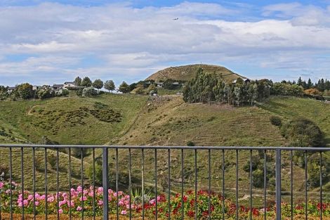 Photo of property in 264 Puketapu Road, Taradale, Napier, 4183