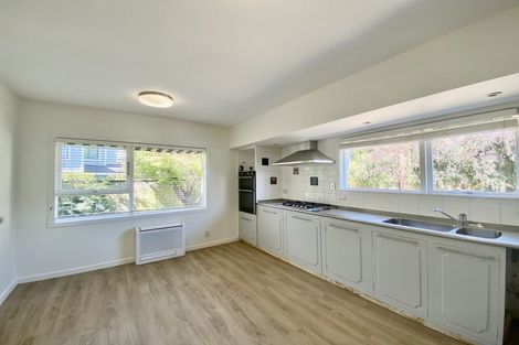 Photo of property in 38 Mcdougall Avenue, St Albans, Christchurch, 8014