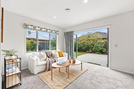 Photo of property in 87 Kaniere Avenue, Hei Hei, Christchurch, 8042