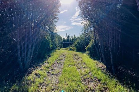 Photo of property in 593 Koutu Loop Road, Opononi, Kaikohe, 0473