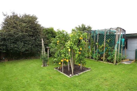 Photo of property in 1102 Jellicoe Street, Mayfair, Hastings, 4122