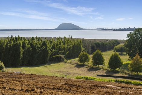 Photo of property in 137 Lochhead Road, Te Puna, Tauranga, 3176