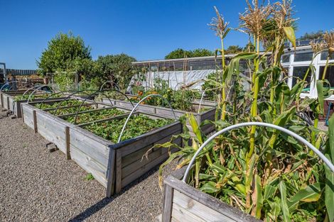 Photo of property in 389 Kawiu Road, Levin, 5510