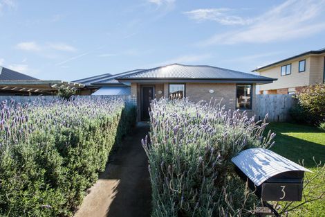 Photo of property in 3 Ta Paora Drive, Bell Block, New Plymouth, 4312