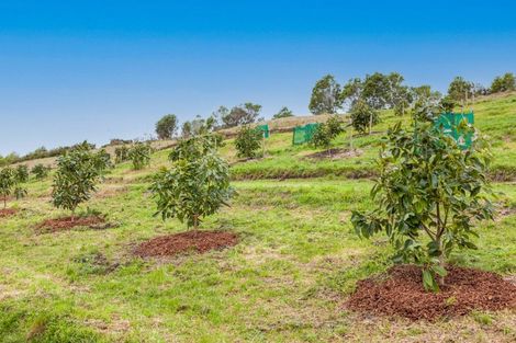 Photo of property in 54d Chard Road, Aongatete, Katikati, 3178