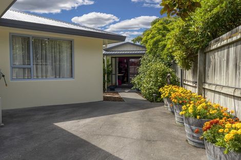 Photo of property in 34 Page Street, Redwoodtown, Blenheim, 7201