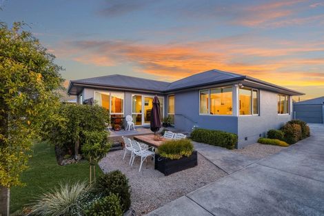 Photo of property in 16 Donegal Street, Belfast, Christchurch, 8051