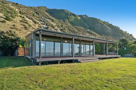 Photo of property in 149 Te Awaiti Road, Tora, Martinborough, 5782