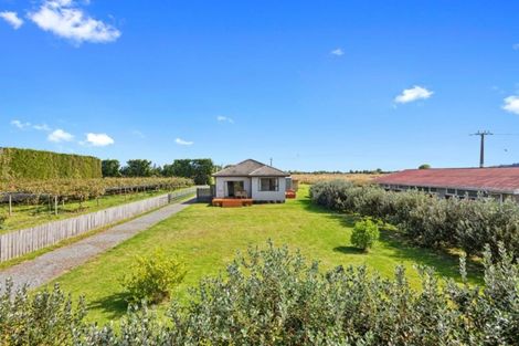Photo of property in 41 Rewatu Road, Poroporo, Whakatane, 3191