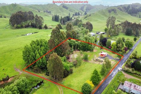 Photo of property in 161 Kawautahi Road, Owhango, 3989