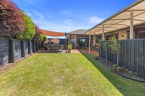 Photo of property in 137 Rowesdale Drive, Ohauiti, Tauranga, 3112