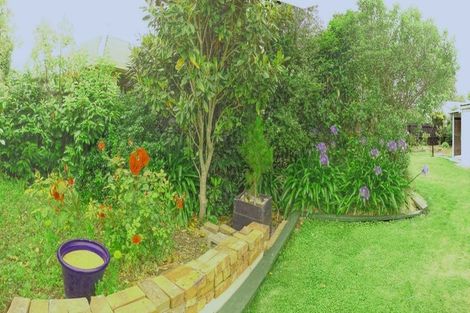 Photo of property in 45 Nicholls Street, Richmond, Christchurch, 8013