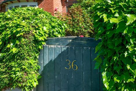 Photo of property in 36 Sandringham Street, Saint Clair, Dunedin, 9012