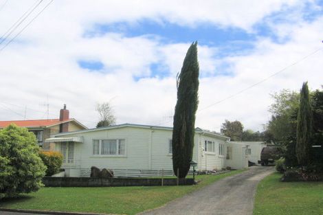Photo of property in 19 Evans Street, Waihi, 3610