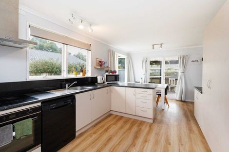 Photo of property in 127 Stanford Street North, Ashhurst, 4810