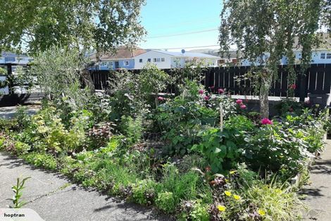 Photo of property in 12 Rata Street, Naenae, Lower Hutt, 5011