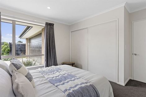 Photo of property in 177 Te Rito Street, Marshland, Christchurch, 8083