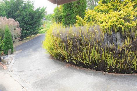 Photo of property in 90 Mount View Road, Bastia Hill, Whanganui, 4500