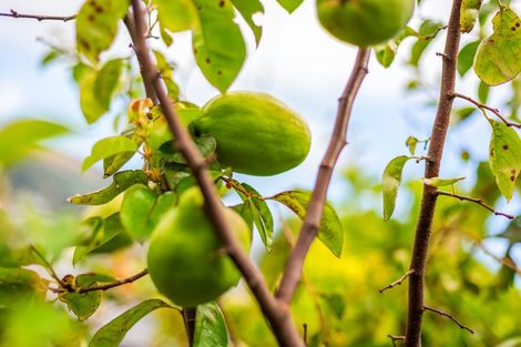 Photo of property in 25 Kaimai Place, Aotea, Porirua, 5024