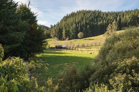 Photo of property in 21 Serpentine River Road, Aniseed Valley, Richmond, 7081