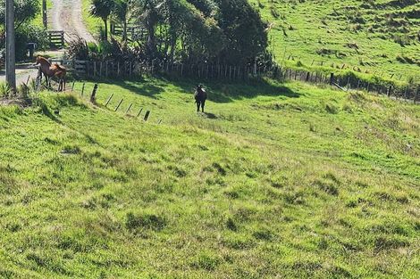 Photo of property in 99 Mangamanihi Road, Kaeo, 0479