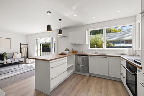 Photo of property in 6 Pinedale Lane, Linwood, Christchurch, 8062