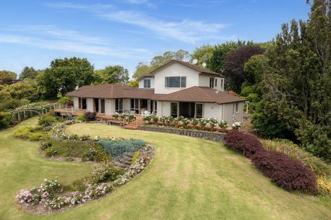 Photo of property in 289 Pahoia Road, Whakamarama, Tauranga, 3172