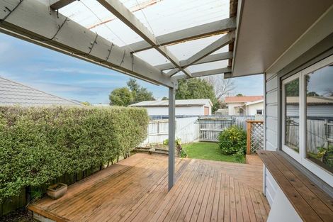 Photo of property in 36 Knowles Street, Terrace End, Palmerston North, 4410