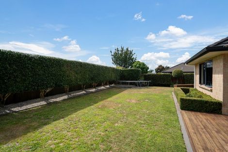 Photo of property in 5 Glenroy Place, Cambridge, 3434