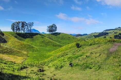 Photo of property in 109 Mcivor Road, Rotoma, Whakatane, 3192