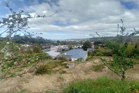 Photo of property in 78 Buccleugh Street, North East Valley, Dunedin, 9010