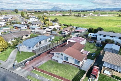 Photo of property in 20 Tawhara Place, Edgecumbe, 3120