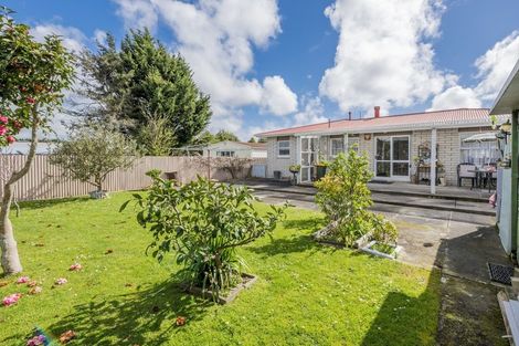Photo of property in 3 Rodney Street, Levin, 5510