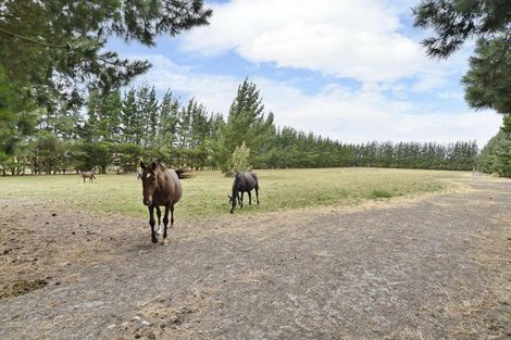 Photo of property in 279 Balcairn Amberley Road, Balcairn, Amberley, 7481